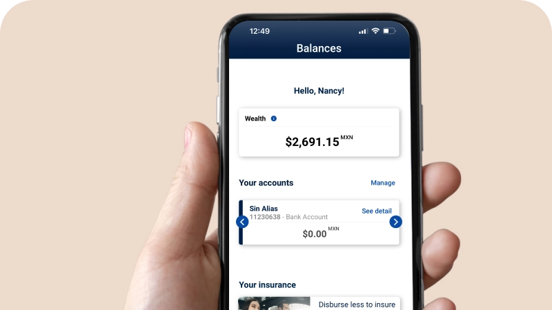 Banking in your hand